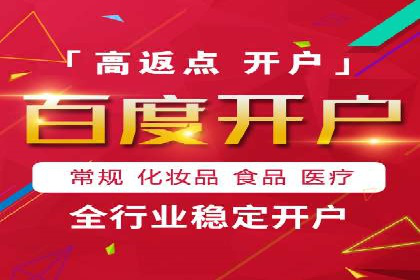 竞价广告投放技巧与案例分析